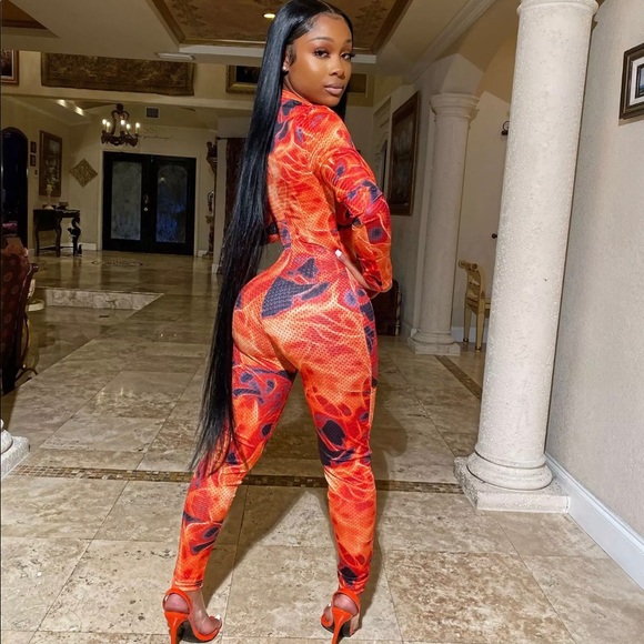 Fire 🔥 Fox 🦊 - Picture 2 of 3